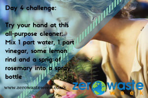 day 4 challenge - multi purpose cleaner