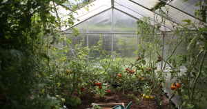 zero waste greenhouse