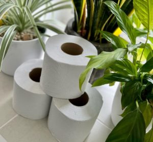 recycled chlorine free toilet paper