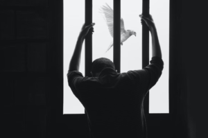 can prisons and jails be green