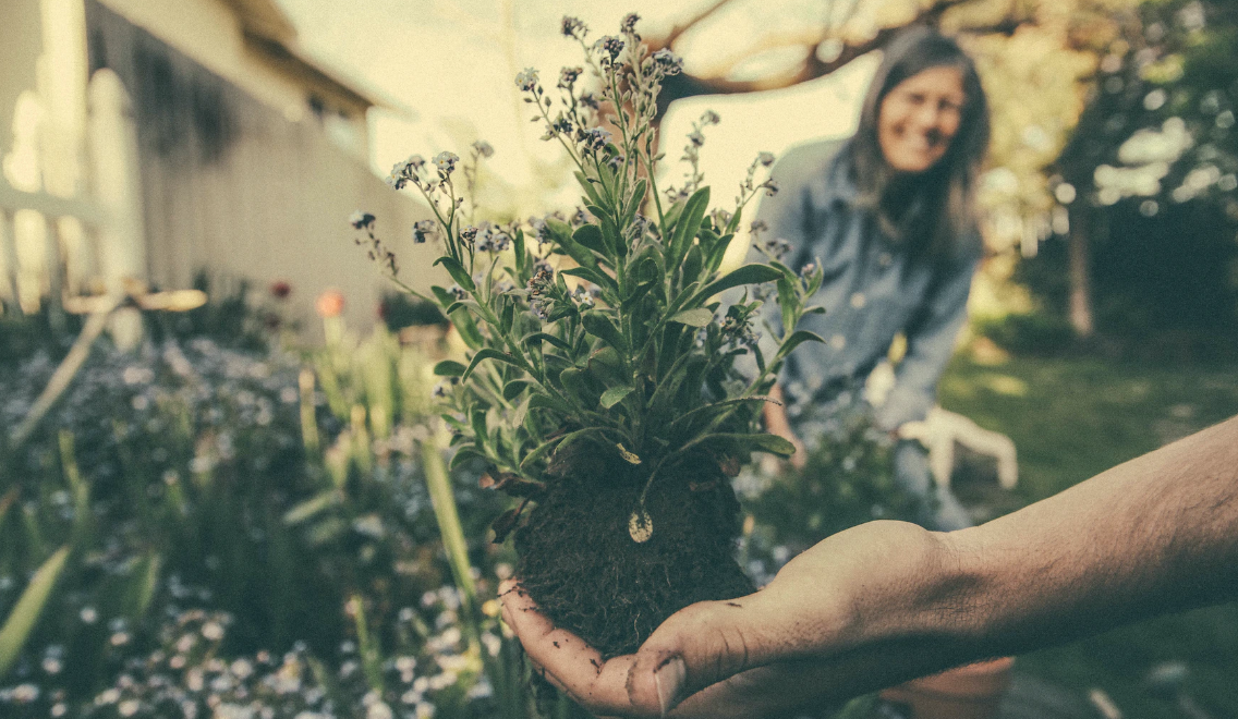 tips for sustainable gardening
