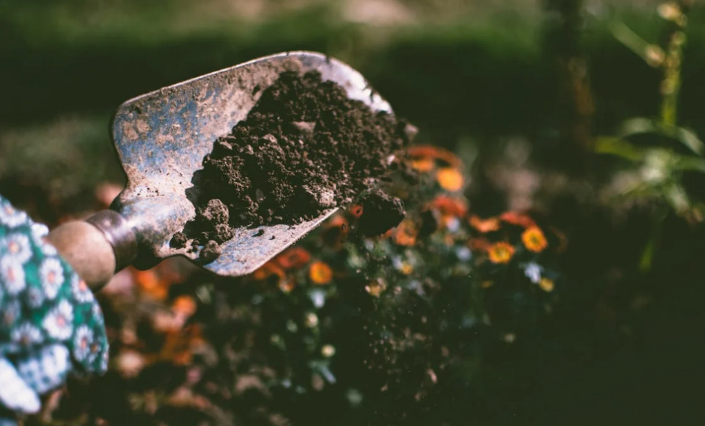 sustainable gardening ideas