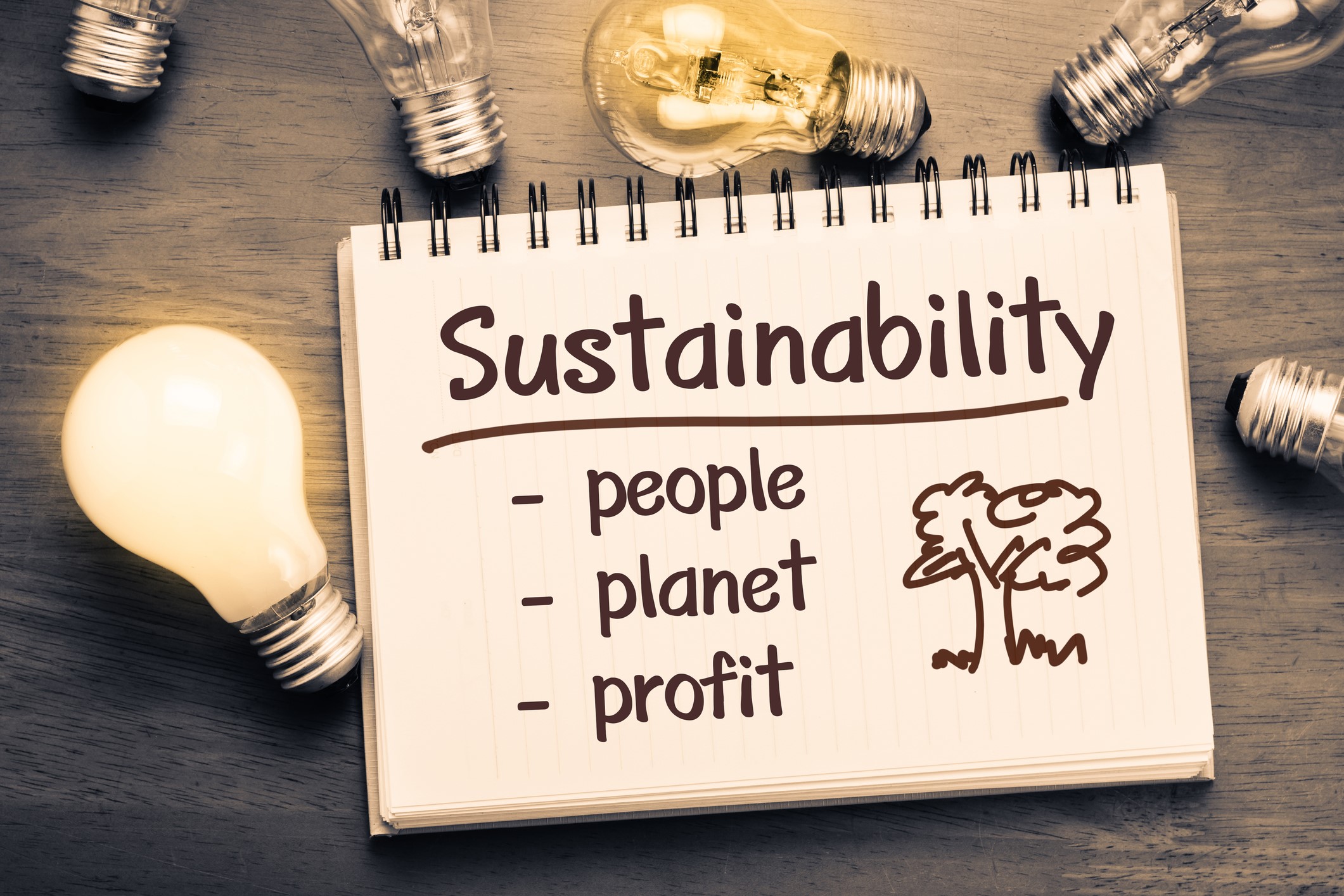 the green business revolution - people planet profit