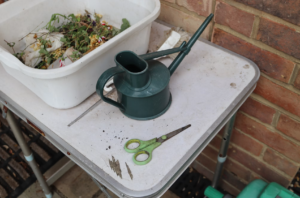 Making natural fertilisers and pest deterrents from kitchen scraps